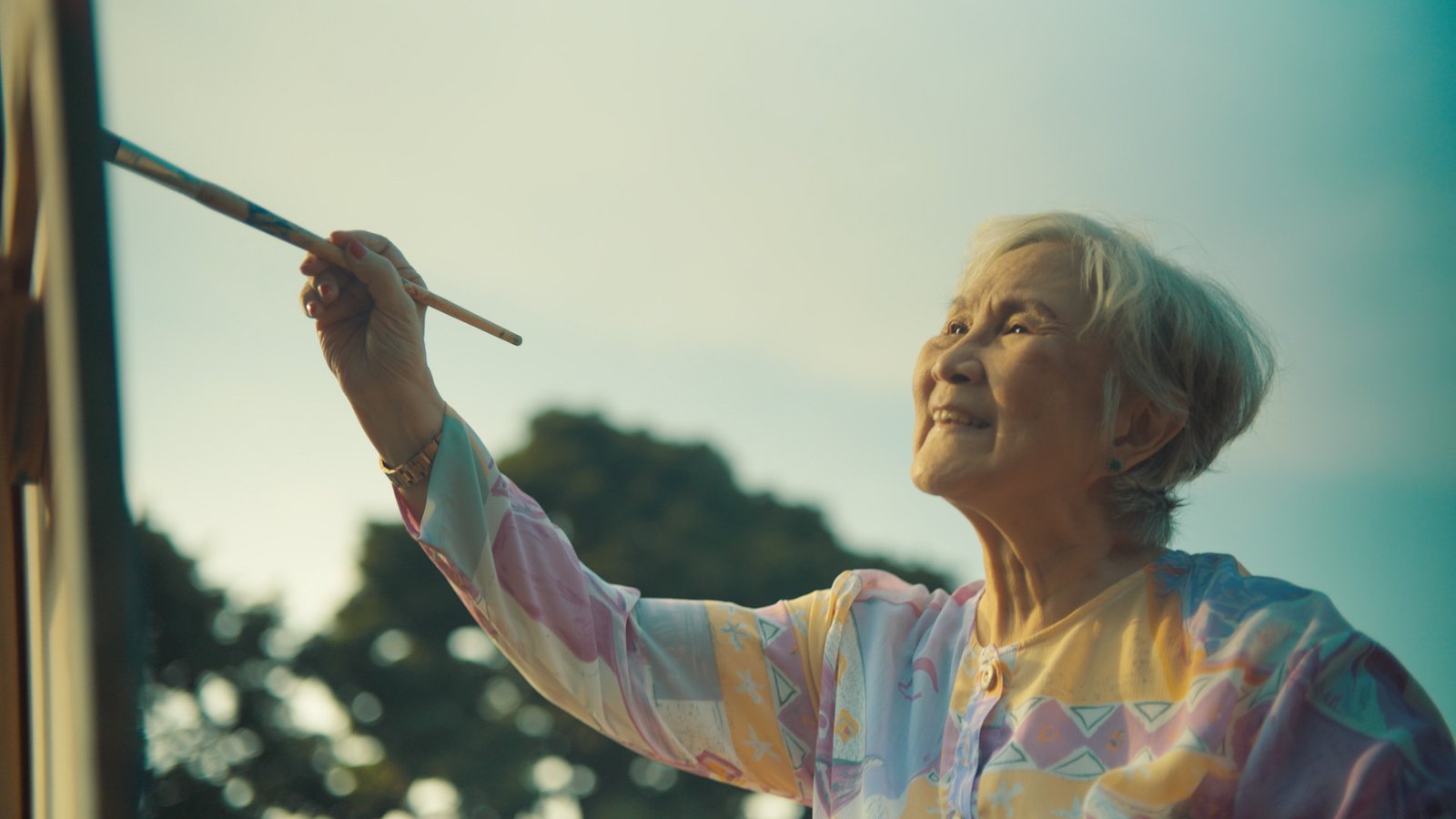 NVPC_Giving-gives-life-tvc-15