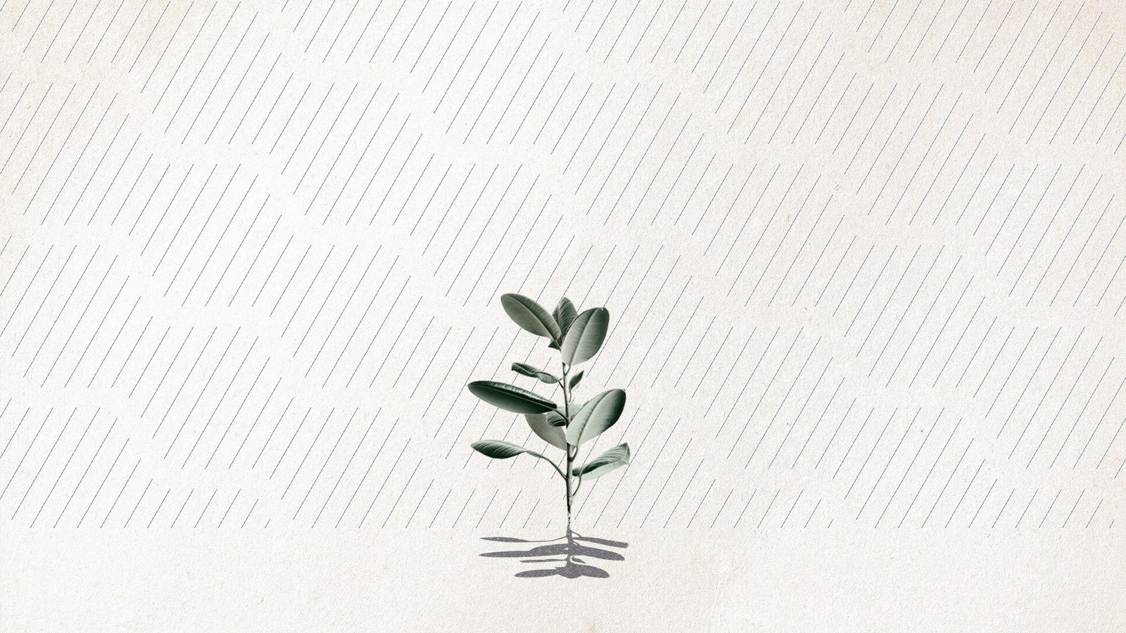 Prudential_Opus_Legacy-Aimran-04