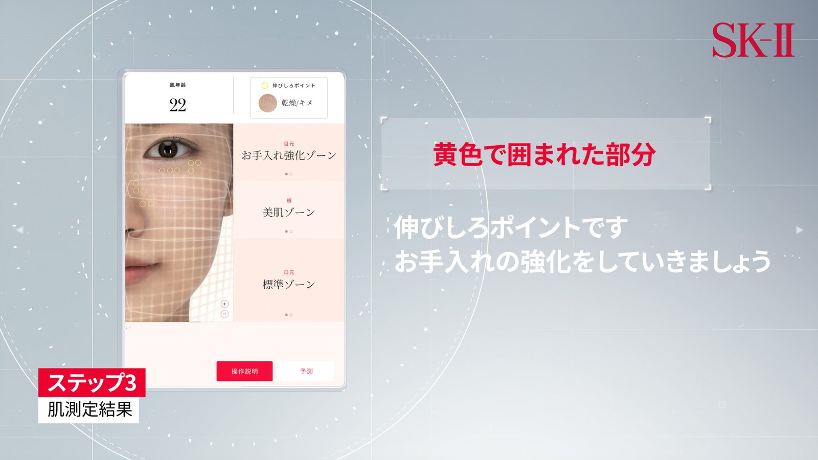 SK-II_JP-MMS-July-08